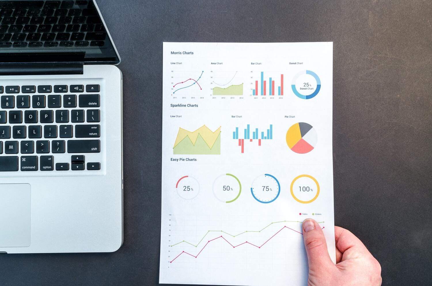 Cuentas Seo Conjuntas