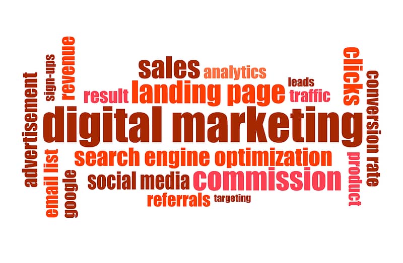 diseño-y-desarrollo-web